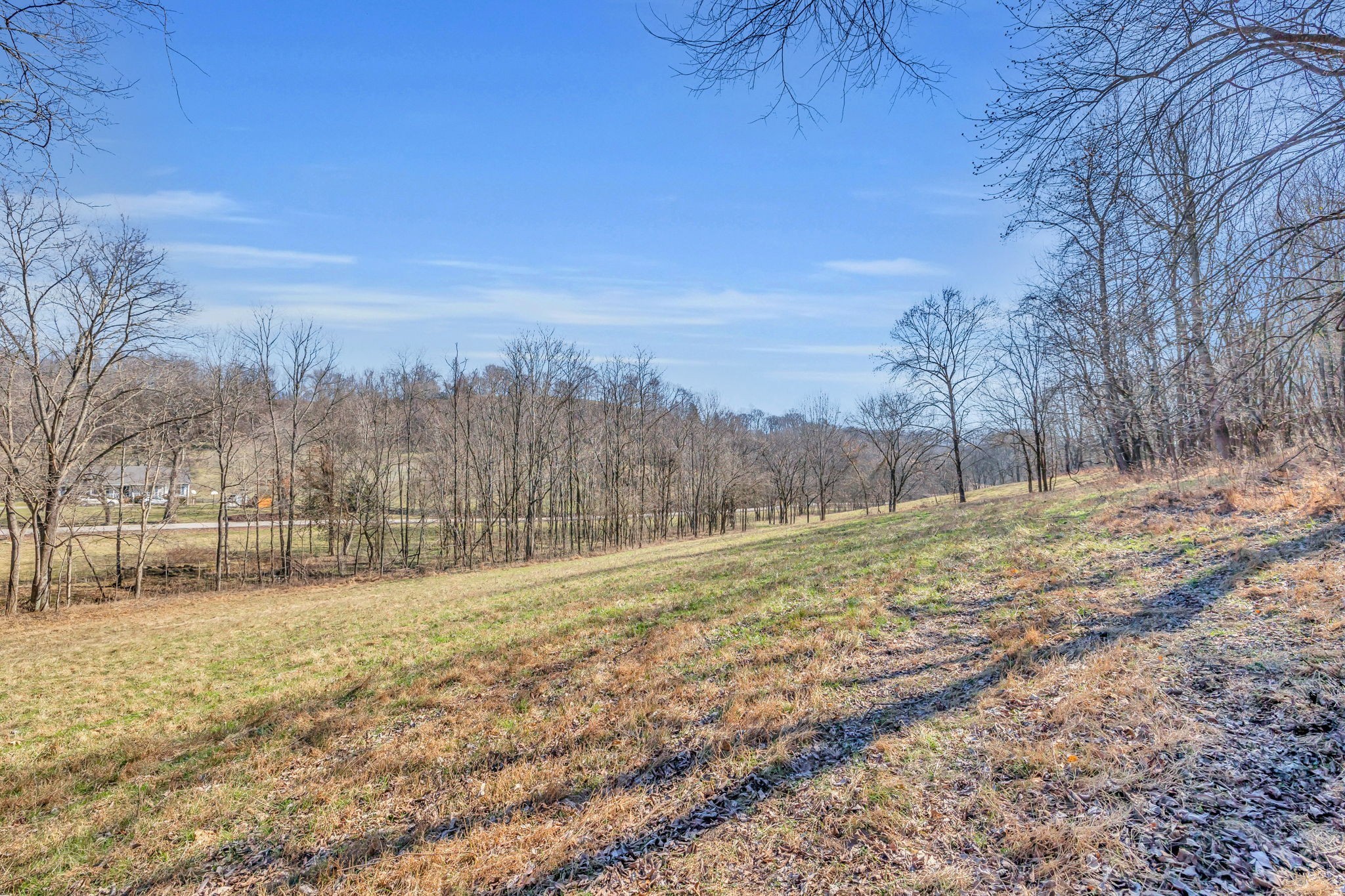 3153 Blazer Road, W Franklin TN 37064