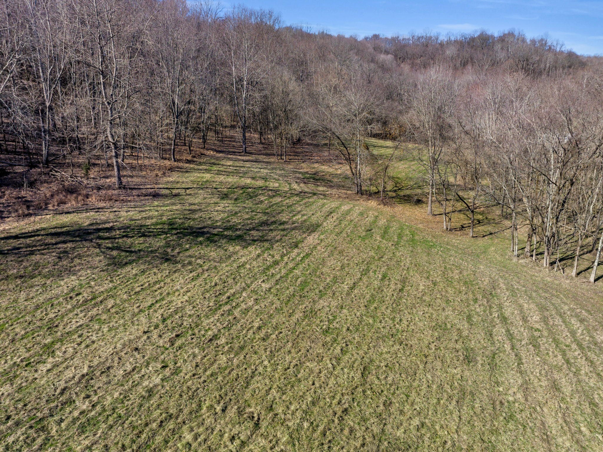 3153 Blazer Road, W Franklin TN 37064