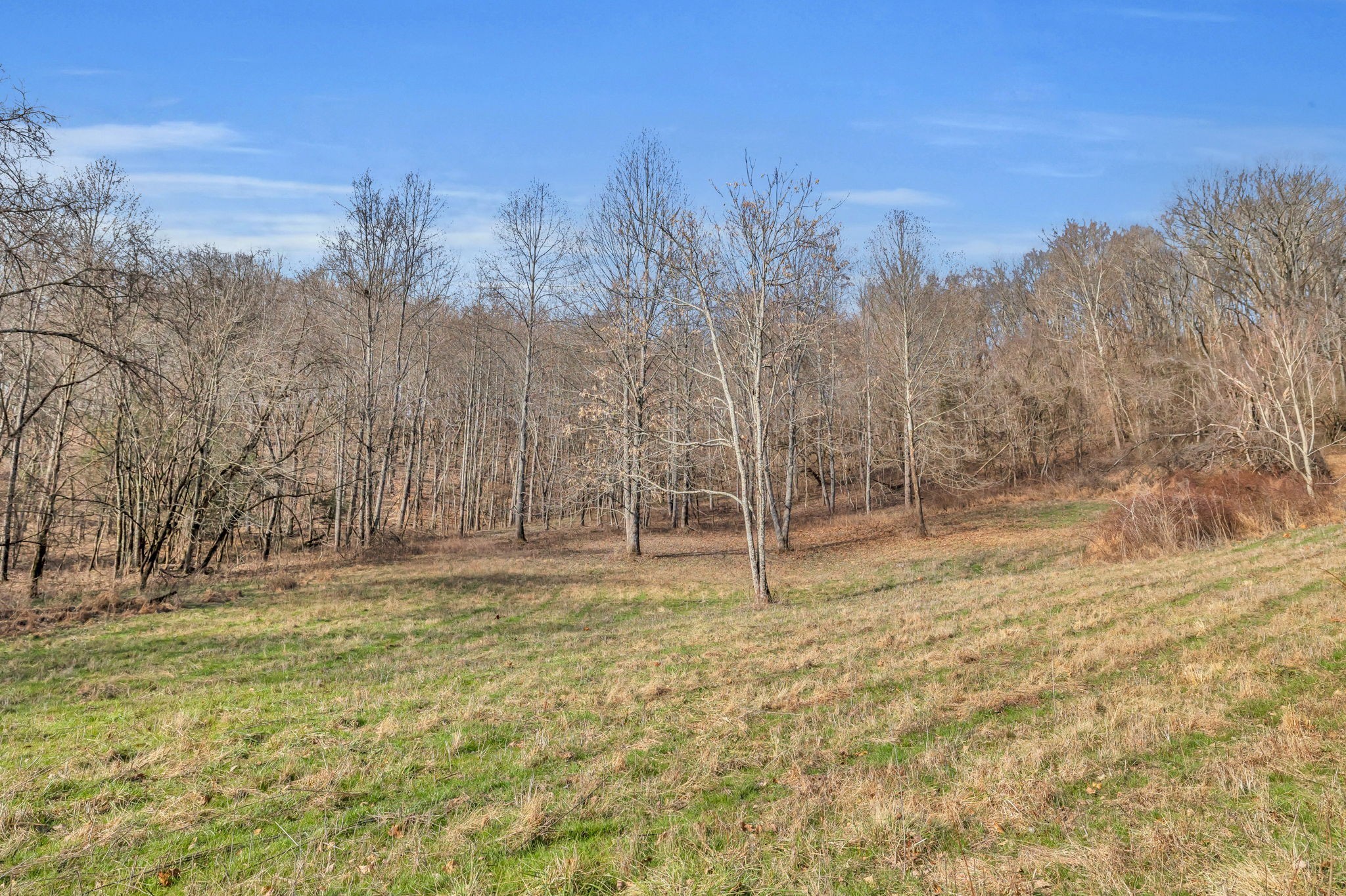 3153 Blazer Road, W Franklin TN 37064