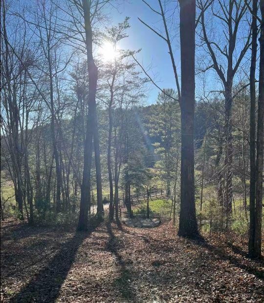 1522 Turkey Creek Road Tellico Plains TN 37385