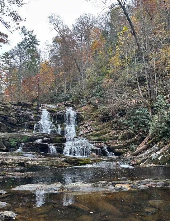 1522 Turkey Creek Road Tellico Plains TN 37385