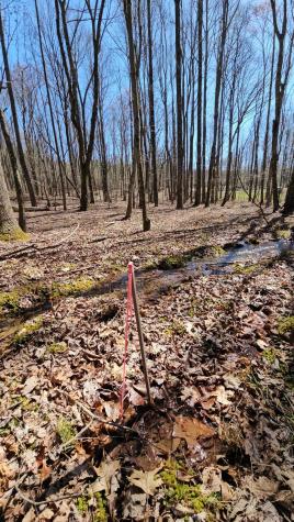 0 Raulston Falls (Sv306) Road Jasper TN 37347