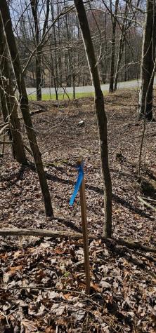 0 Raulston Falls (Sv306) Road Jasper TN 37347