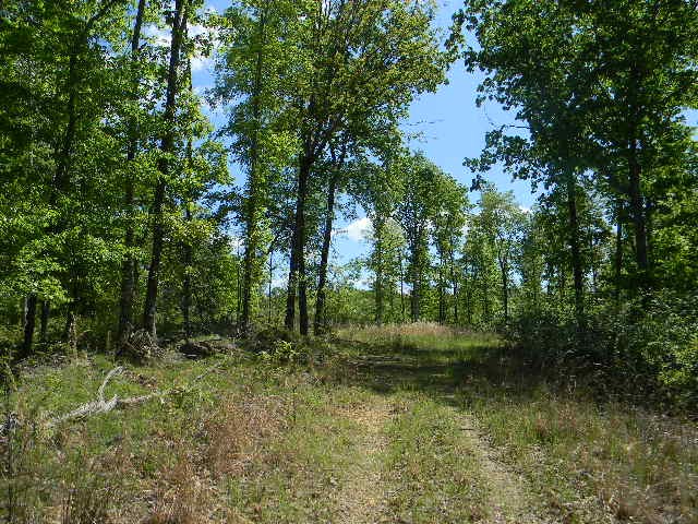0 Ogden Road Waverly TN 37185