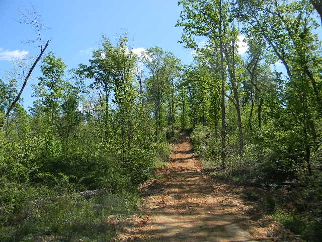 0 Ogden Road Waverly TN 37185