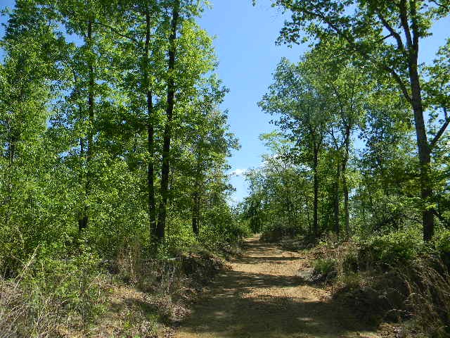 0 Ogden Road Waverly TN 37185