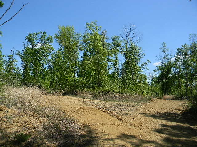 0 Ogden Road Waverly TN 37185