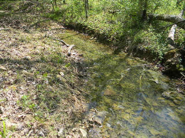 0 Ogden Road Waverly TN 37185