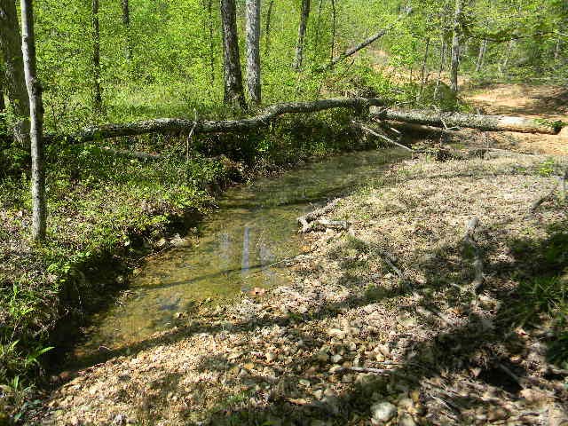 0 Ogden Road Waverly TN 37185