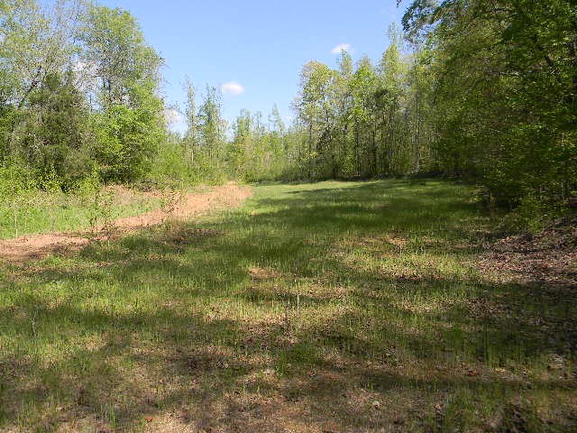 0 Ogden Road Waverly TN 37185