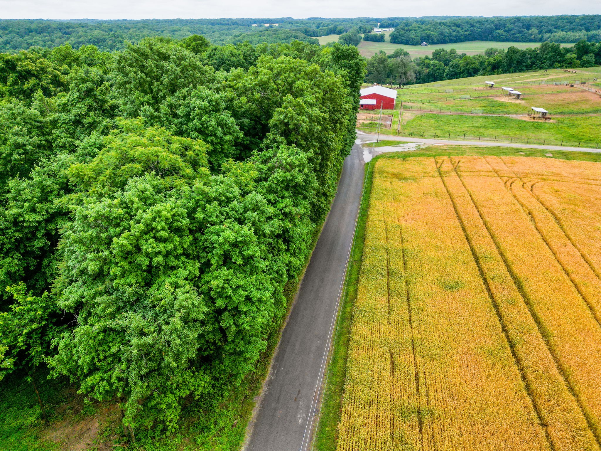 4 J Bourne Road Adams TN 37010