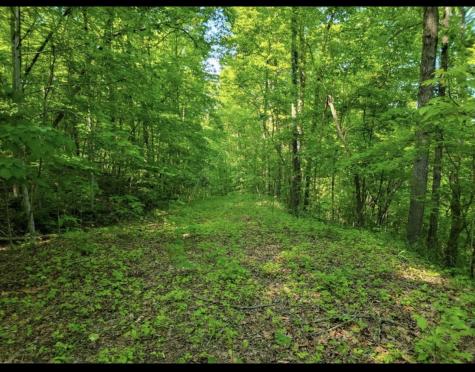 0 Shetland Trace Sparta TN 38583