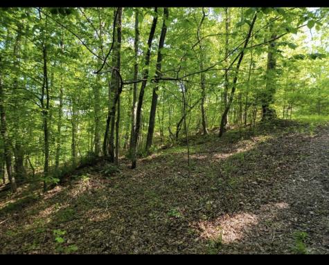 0 Shetland Trace Sparta TN 38583