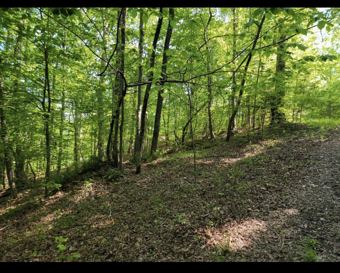 0 Shetland Trace Sparta TN 38583