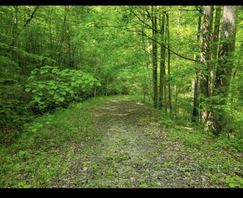 0 Shetland Trace Sparta TN 38583