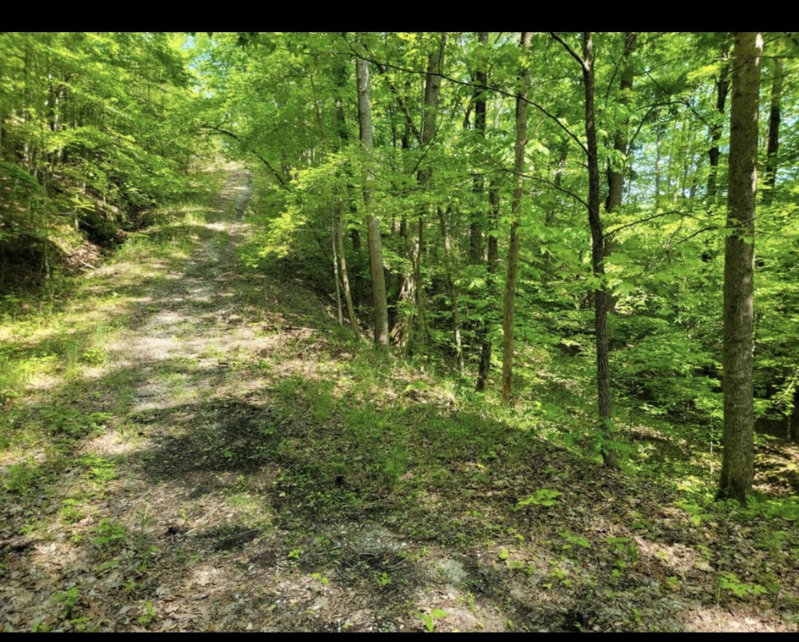 0 Shetland Trace Sparta TN 38583