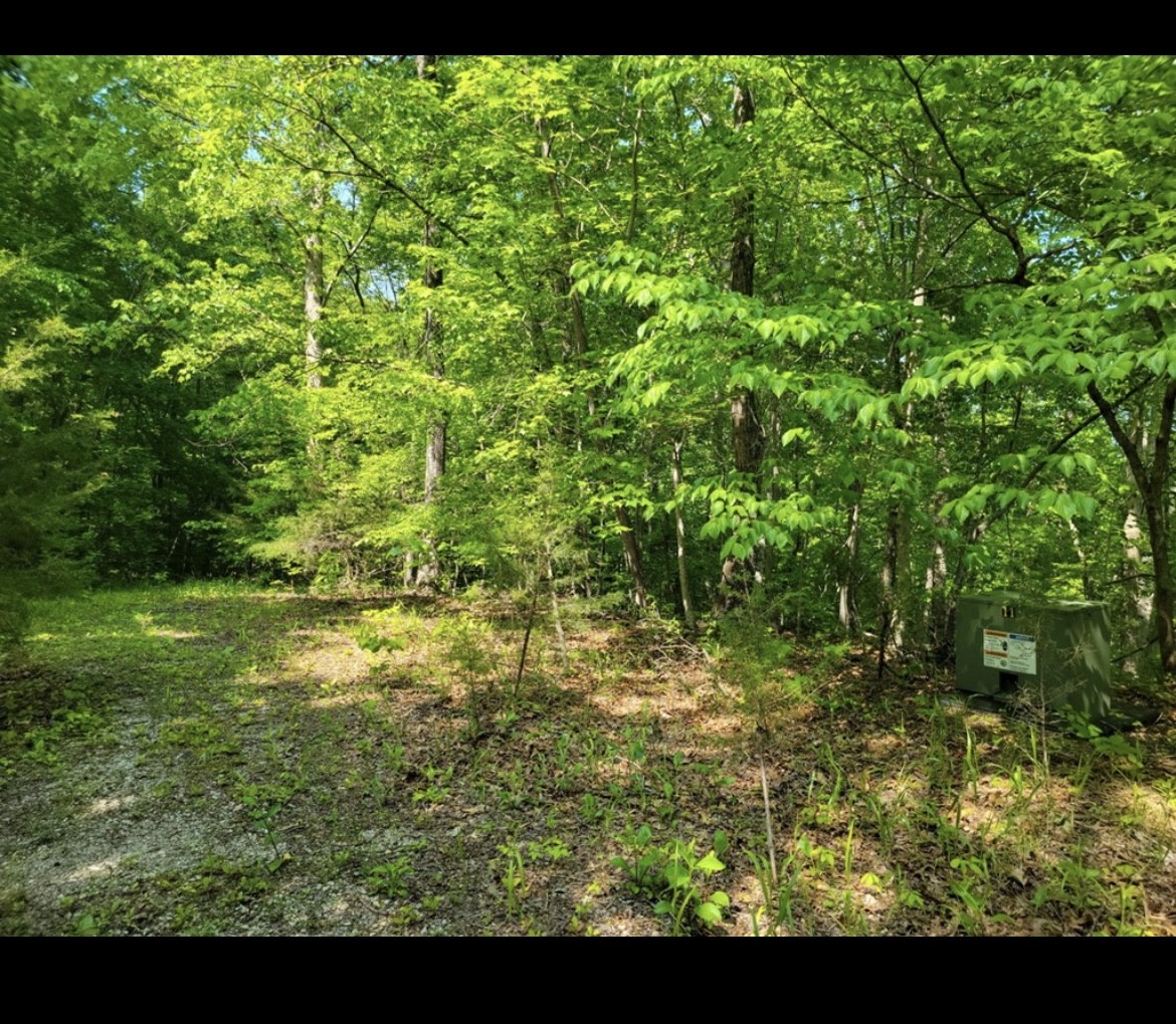 0 Shetland Trace Sparta TN 38583