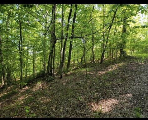 0 Shetland Trace Sparta TN 38583