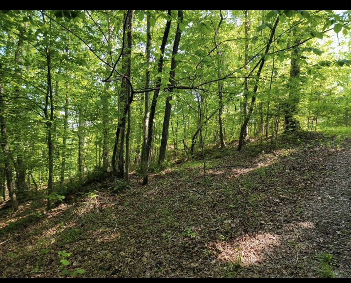 0 Shetland Trace Sparta TN 38583
