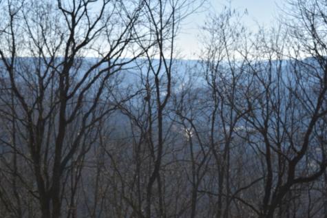21 Laurel Lake Drive Monteagle TN 37356
