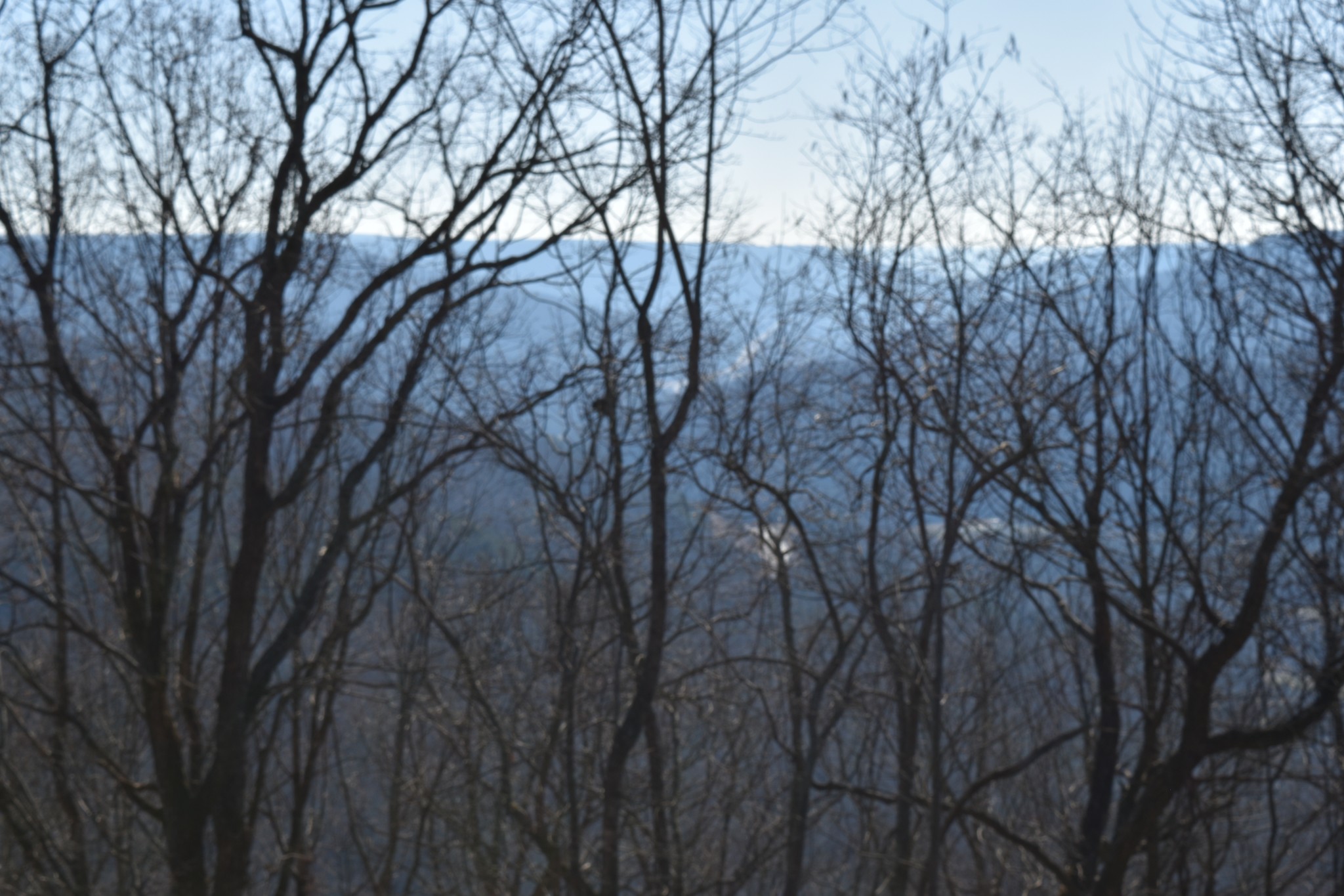 21 Laurel Lake Drive Monteagle TN 37356