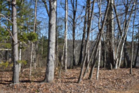 21 Laurel Lake Drive Monteagle TN 37356