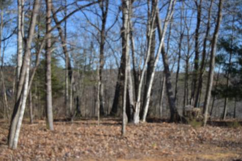 21 Laurel Lake Drive Monteagle TN 37356