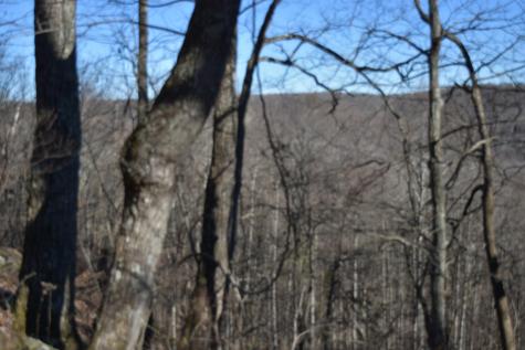21 Laurel Lake Drive Monteagle TN 37356