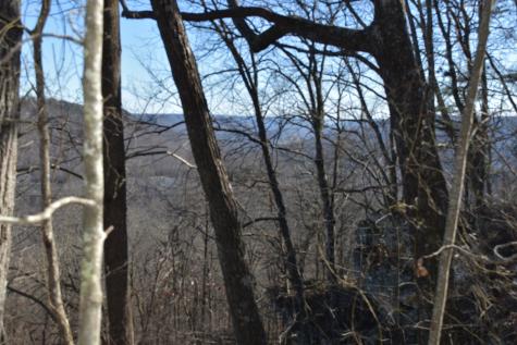 21 Laurel Lake Drive Monteagle TN 37356