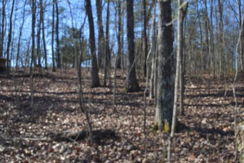 21 Laurel Lake Drive Monteagle TN 37356