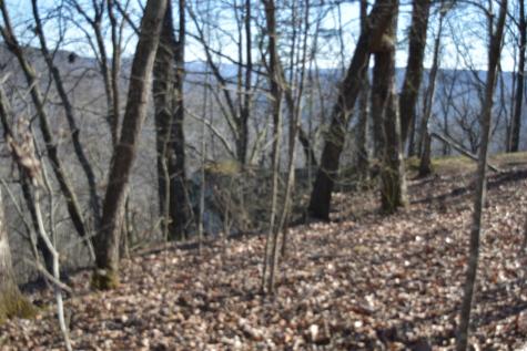 21 Laurel Lake Drive Monteagle TN 37356