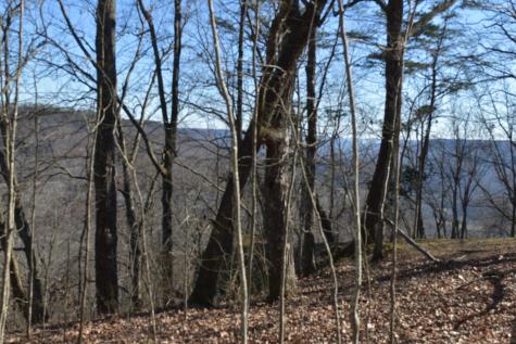 21 Laurel Lake Drive Monteagle TN 37356