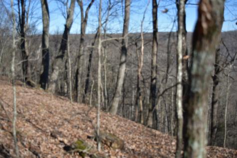 21 Laurel Lake Drive Monteagle TN 37356