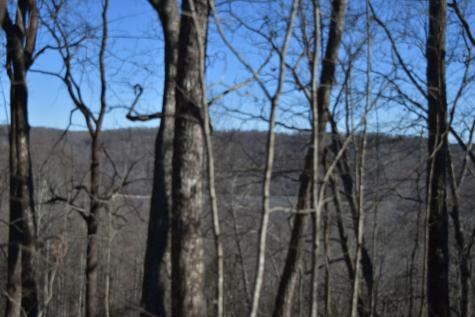 21 Laurel Lake Drive Monteagle TN 37356