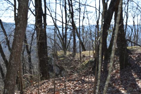 21 Laurel Lake Drive Monteagle TN 37356