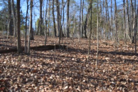 21 Laurel Lake Drive Monteagle TN 37356