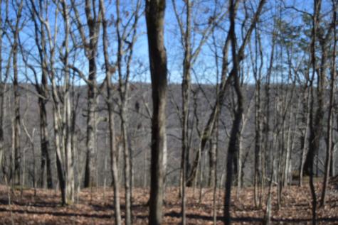 21 Laurel Lake Drive Monteagle TN 37356