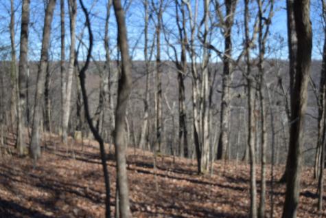 21 Laurel Lake Drive Monteagle TN 37356