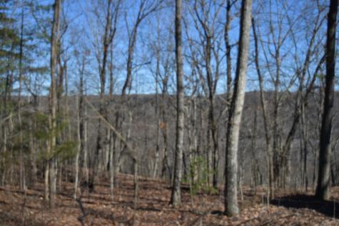 21 Laurel Lake Drive Monteagle TN 37356