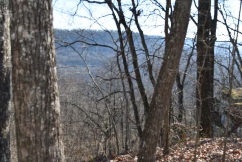21 Laurel Lake Drive Monteagle TN 37356
