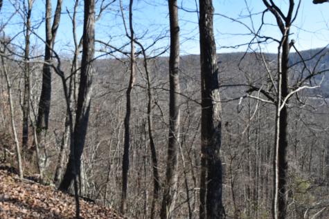 21 Laurel Lake Drive Monteagle TN 37356