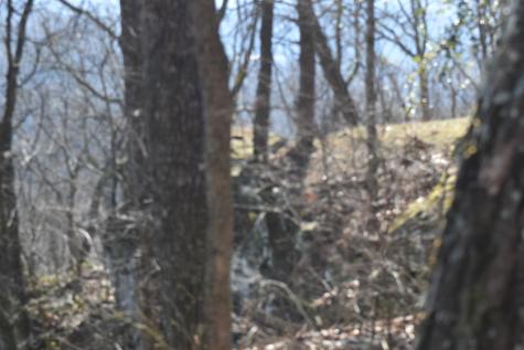21 Laurel Lake Drive Monteagle TN 37356