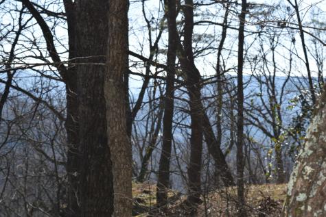 21 Laurel Lake Drive Monteagle TN 37356