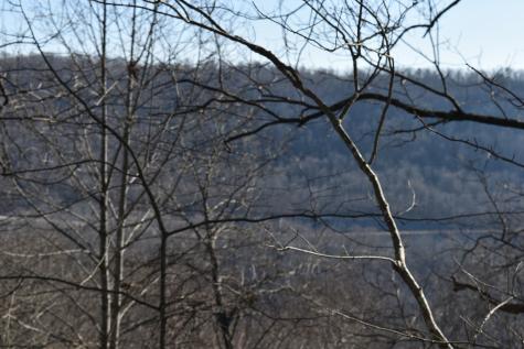 21 Laurel Lake Drive Monteagle TN 37356