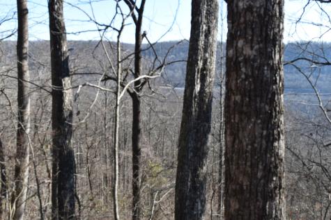 21 Laurel Lake Drive Monteagle TN 37356