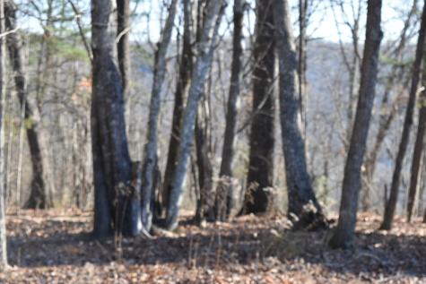 21 Laurel Lake Drive Monteagle TN 37356