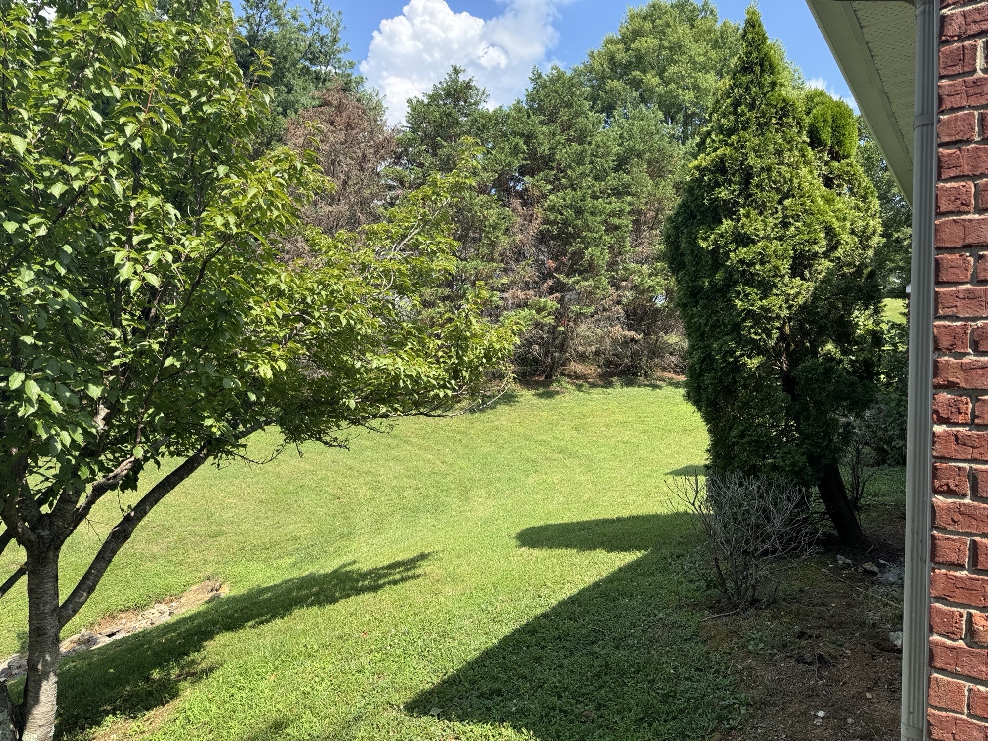 325 Bonita Parkway Hendersonville TN 37075