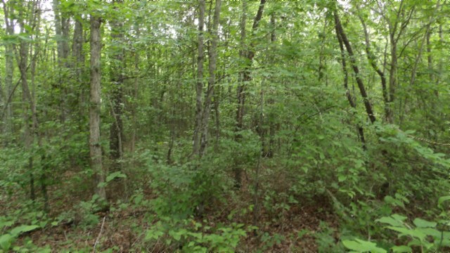 0 Hilltop Lane Wilder TN 38589