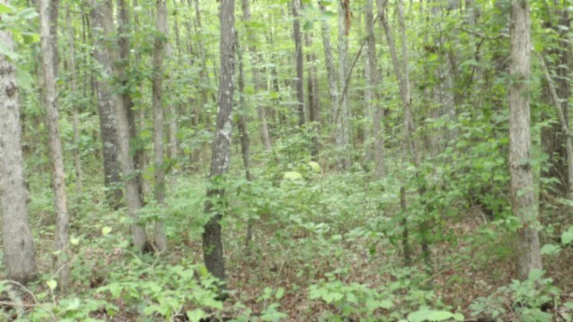 0 Hilltop Lane Wilder TN 38589