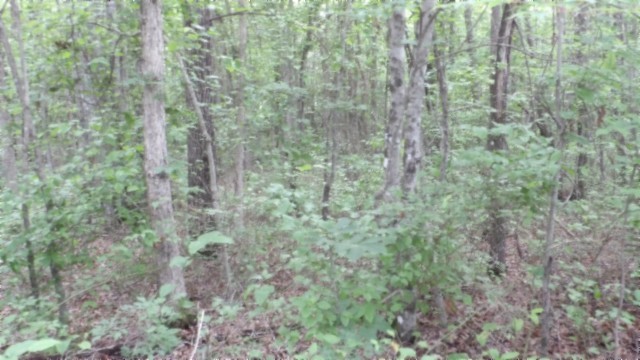 0 Hilltop Lane Wilder TN 38589